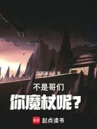 魔法师的枪里没有子弹