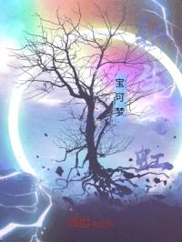 宝可梦：新生之虹