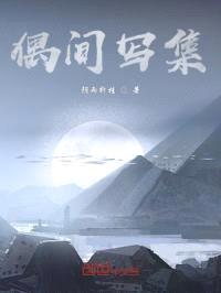偶间写集