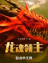 龙魂领主