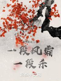 一段风霜一段杀